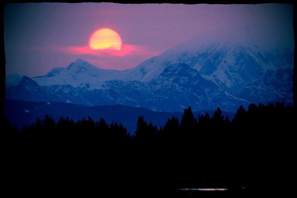 Talkeetna Villas And Tours Eksteriør bilde