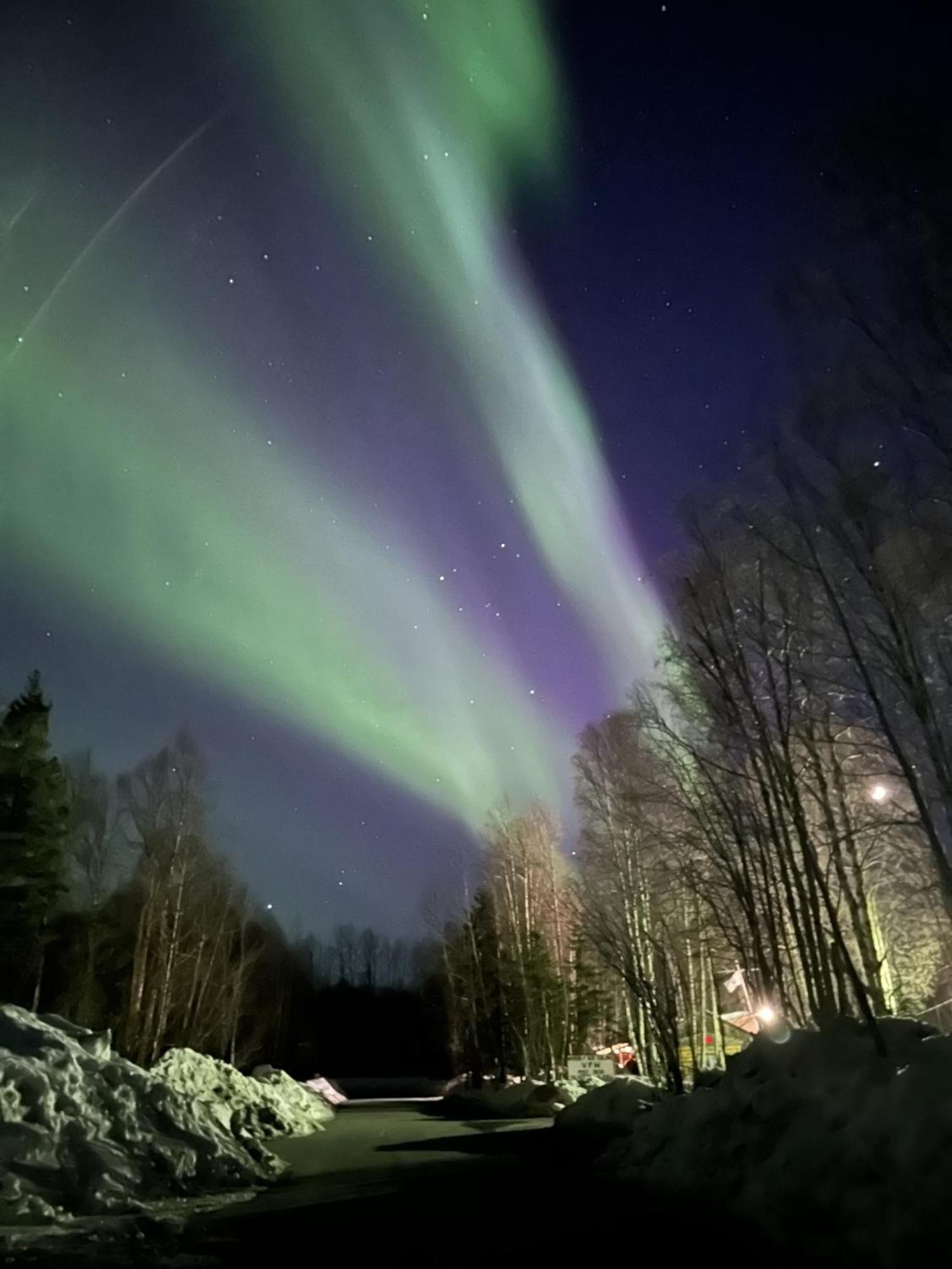 Talkeetna Villas And Tours Eksteriør bilde